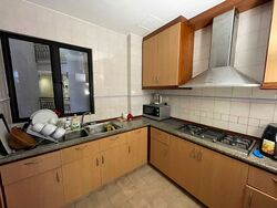 Dover Parkview (D5), Condominium #594175181